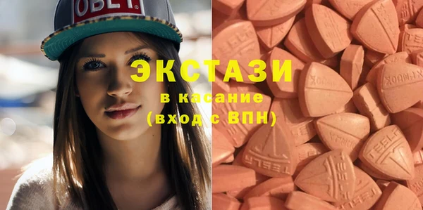 ECSTASY Богородицк